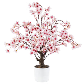 Caxchiling Cherry Blossom Tree 2ft pink flowers enhances bright centerpiece