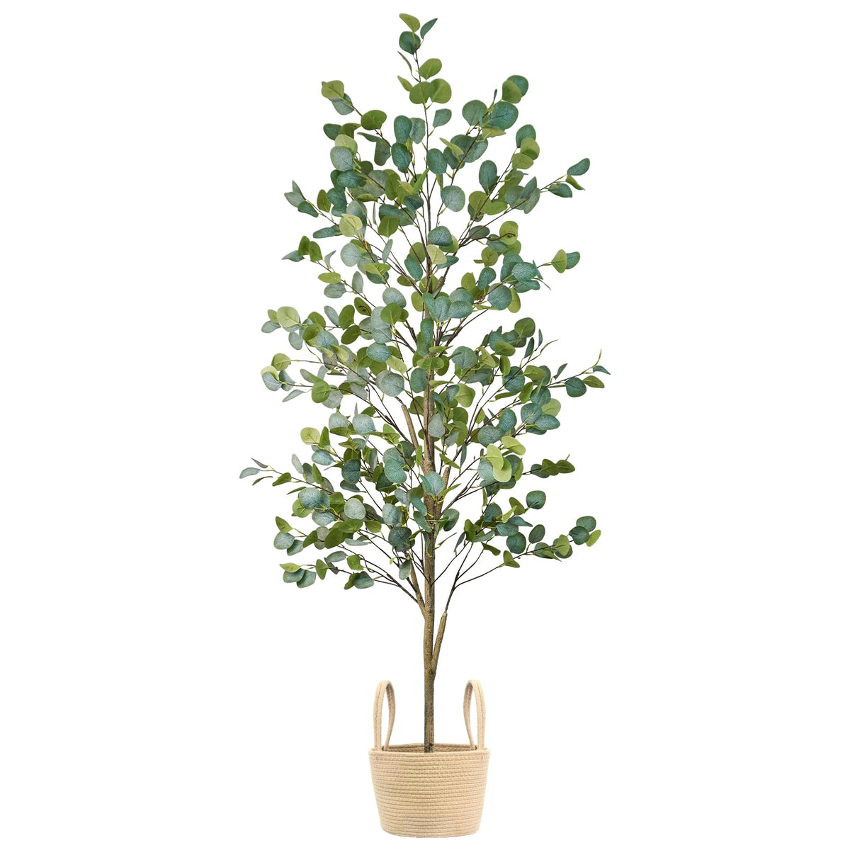 Caxchiling indoor-outdoor decor suited for living rooms, offices, or bedrooms.