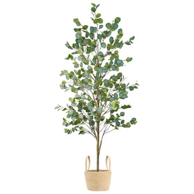 Caxchiling indoor-outdoor decor suited for living rooms, offices, or bedrooms.