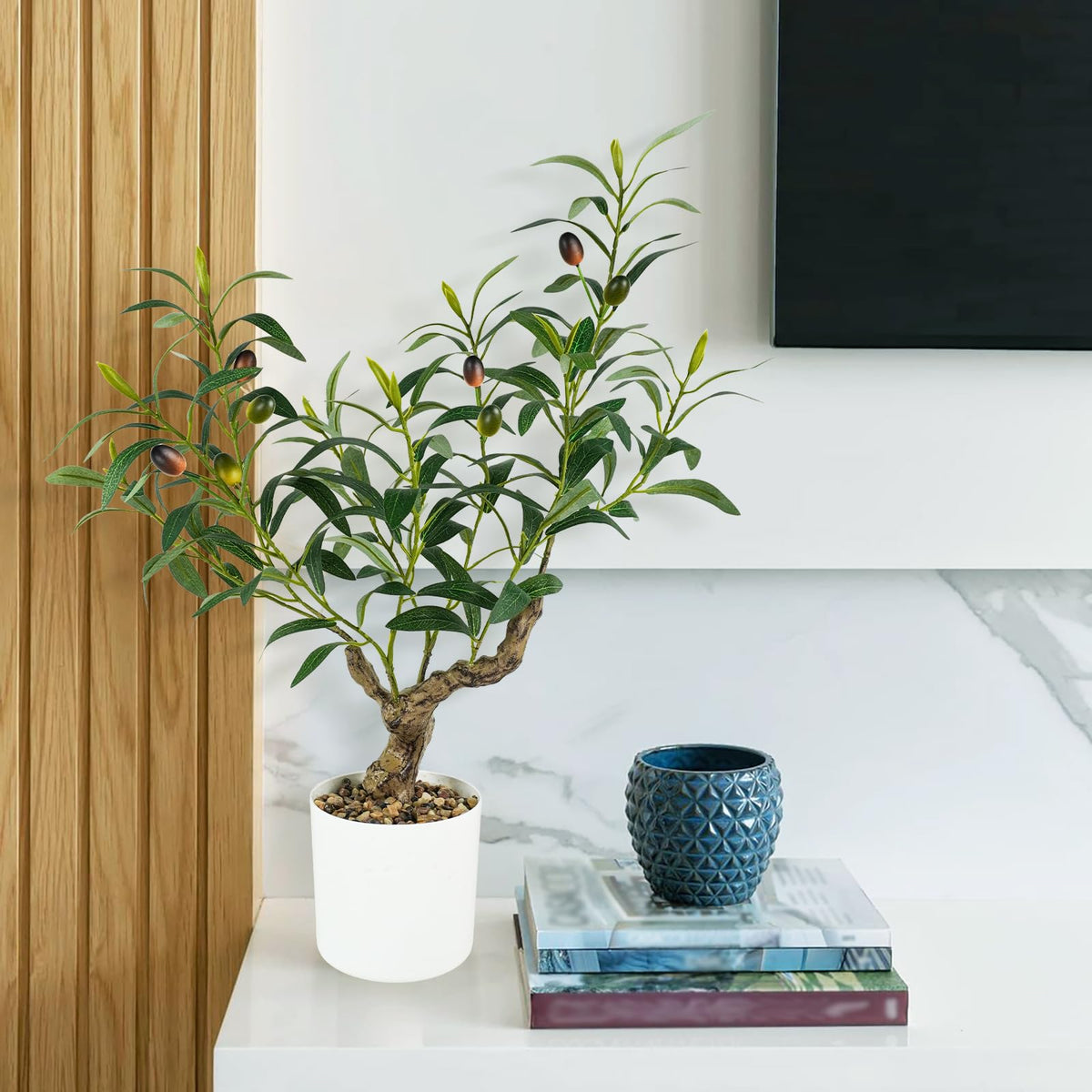 Caxchiling gift-ready olive plant, symbol of luck and health.