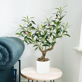 Caxchiling 24-inch faux olive plant, ideal gift and home decor.