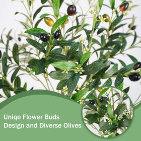 Caxchiling-olive-tree-6ft-assembly demonstrates quick setup turning space into a green focal point.