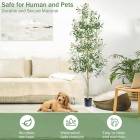 Caxchiling-olive-tree-6ft-detailed-looks captures dense leaves and realistic texture.