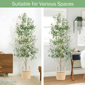 Caxchiling-olive-tree-6ft-materials highlights non-toxic, odorless construction for safer interiors.
