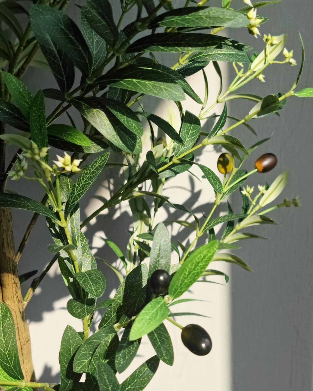 Caxchiling-olive-tree-6ft-storage compact design fits 16.5x10.6x7.3 inches box.
