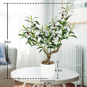 Caxchiling faux plant soil with decorative stones, adds depth.