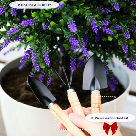 CAZZOVA lavender topiary in planter serving as elegant urn filler.