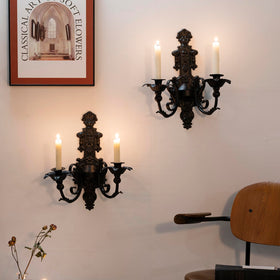 CC Wonderland Zone black gold finish sconce offers ambient lighting for dark academia spaces.