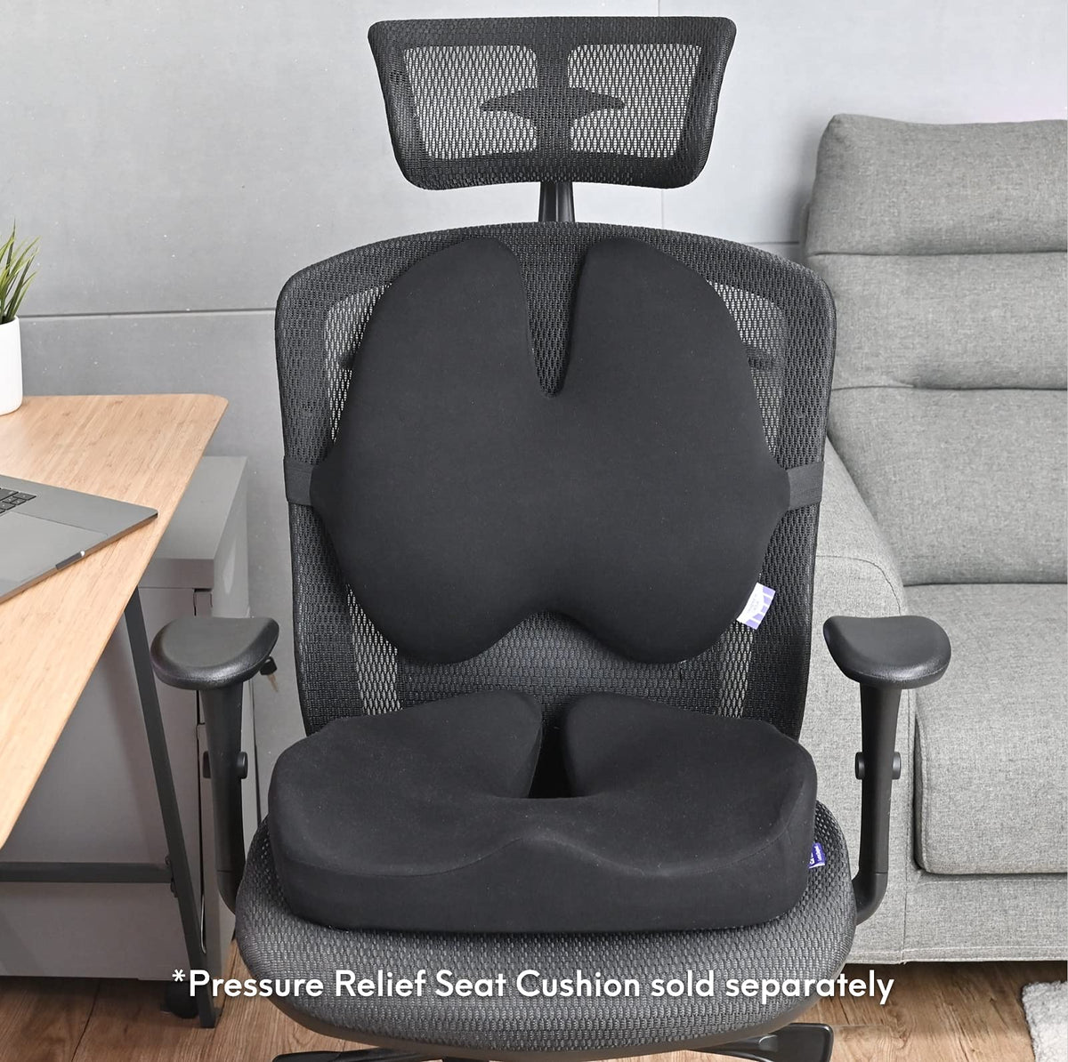 C CUSHION LAB ergonomic-sitting-posture design encourages natural alignment