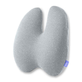 ccushion-lab extra-dense-lumbar-pillow provides targeted lower back support during long workdays.