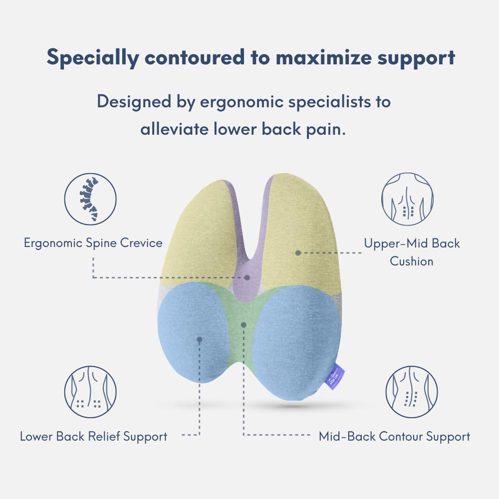 ccushion-lab patented multi-region back support aligns spine for better posture.