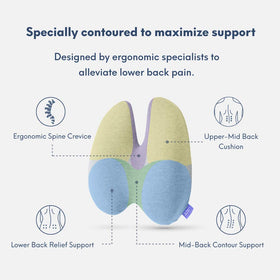 ccushion-lab patented multi-region back support aligns spine for better posture.