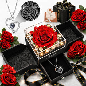 cdco Forever Love heart necklace reveals I love you in 100 languages when light passes through