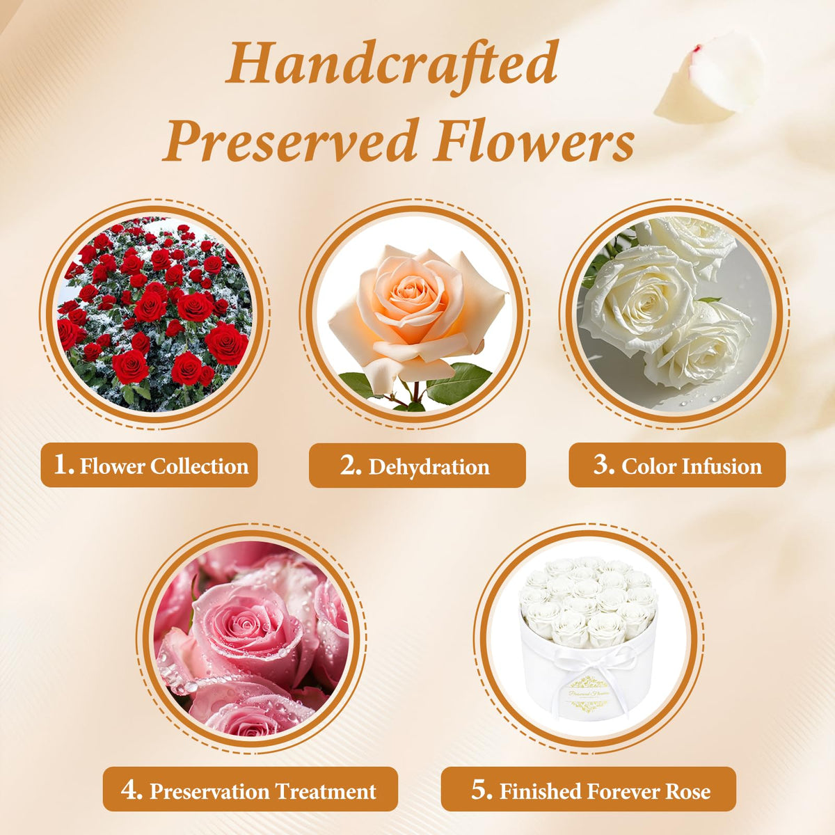 cdco handcrafted preserved roses demonstrates careful artistry and long lasting beauty.