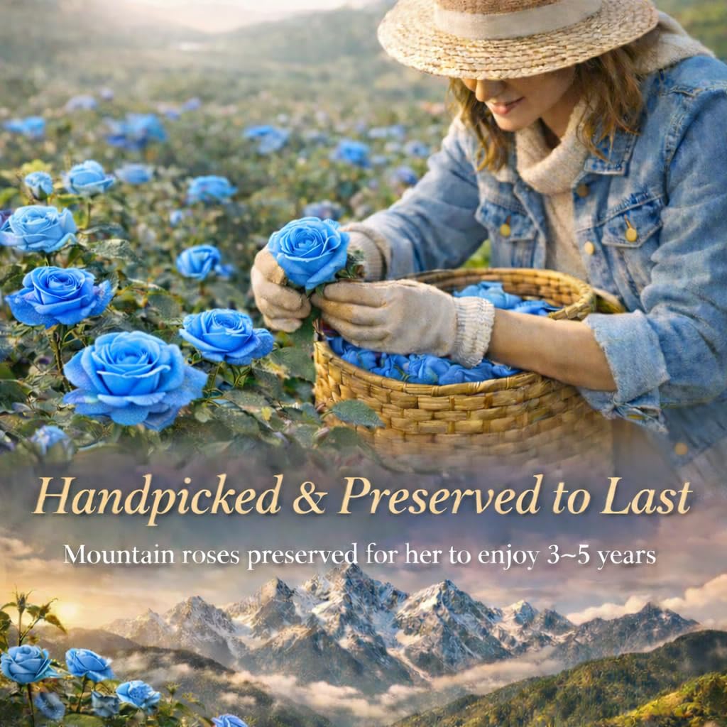 cdco Rose and necklace display set combines keepsake and jewelry in one.