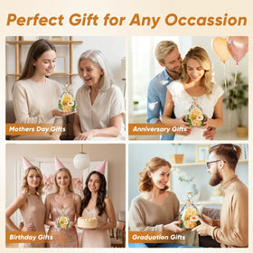 cdco rose gift idea for anniversaries or birthdays lasts as a keepsake