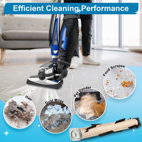 Ceoighe deep-cleaning bristles reach carpet fibers for efficient pickup