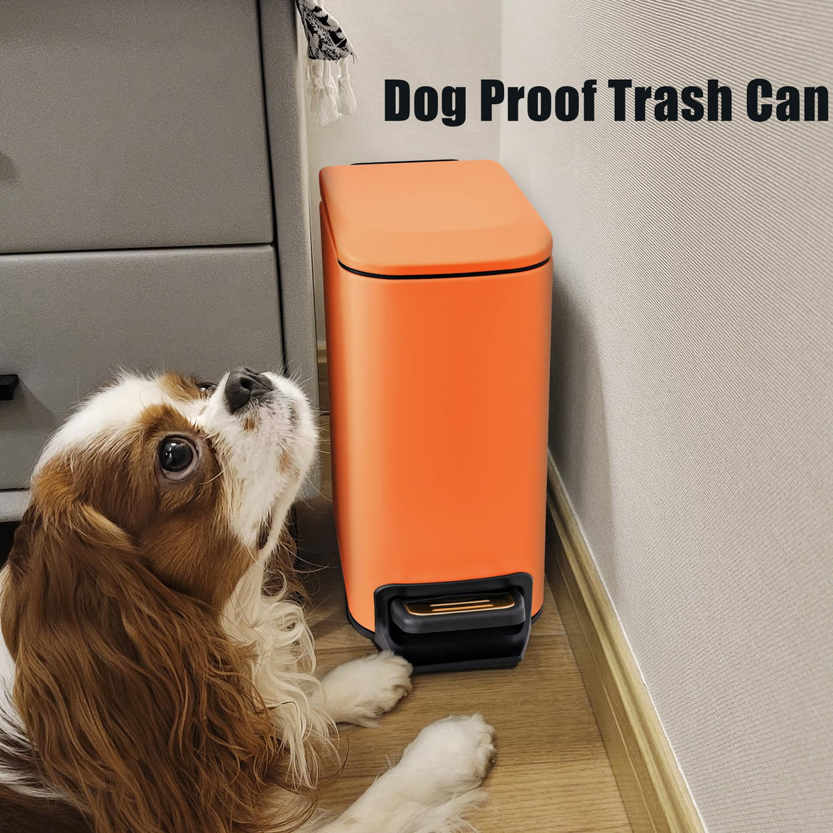 Cesun pet proof lid prevents curious pets from tipping trash