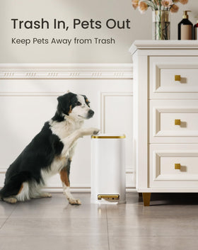 Cesun compact 5L waste bin fits under desks or in bathrooms, freeing space