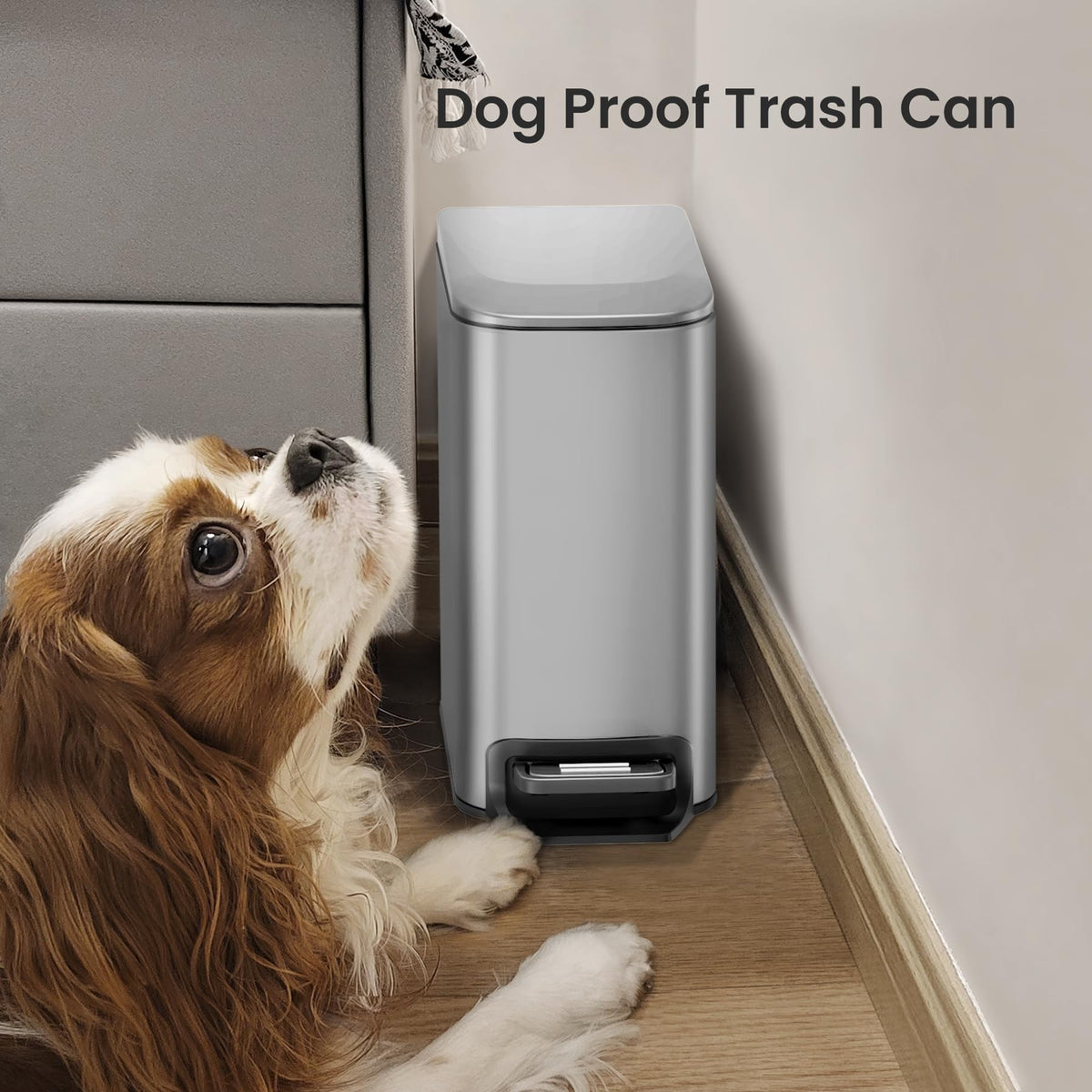 Cesun sealed lid to minimize odors and keep pets away.