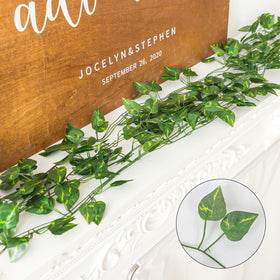 CEWOR hanging vines used to create green backdrop for events