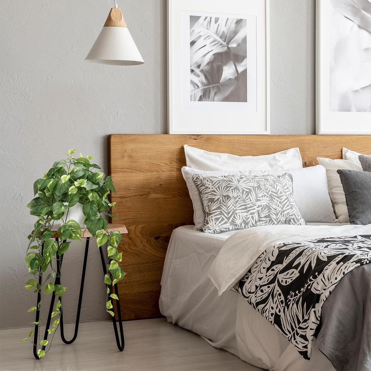CEWOR pothos office decor adds greenery to workspaces.
