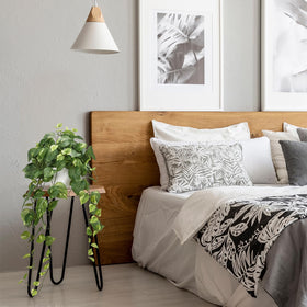 CEWOR pothos office decor adds greenery to workspaces.