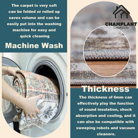 CHAMPLANT ultra-thin entryway rug fits under doors and furniture.