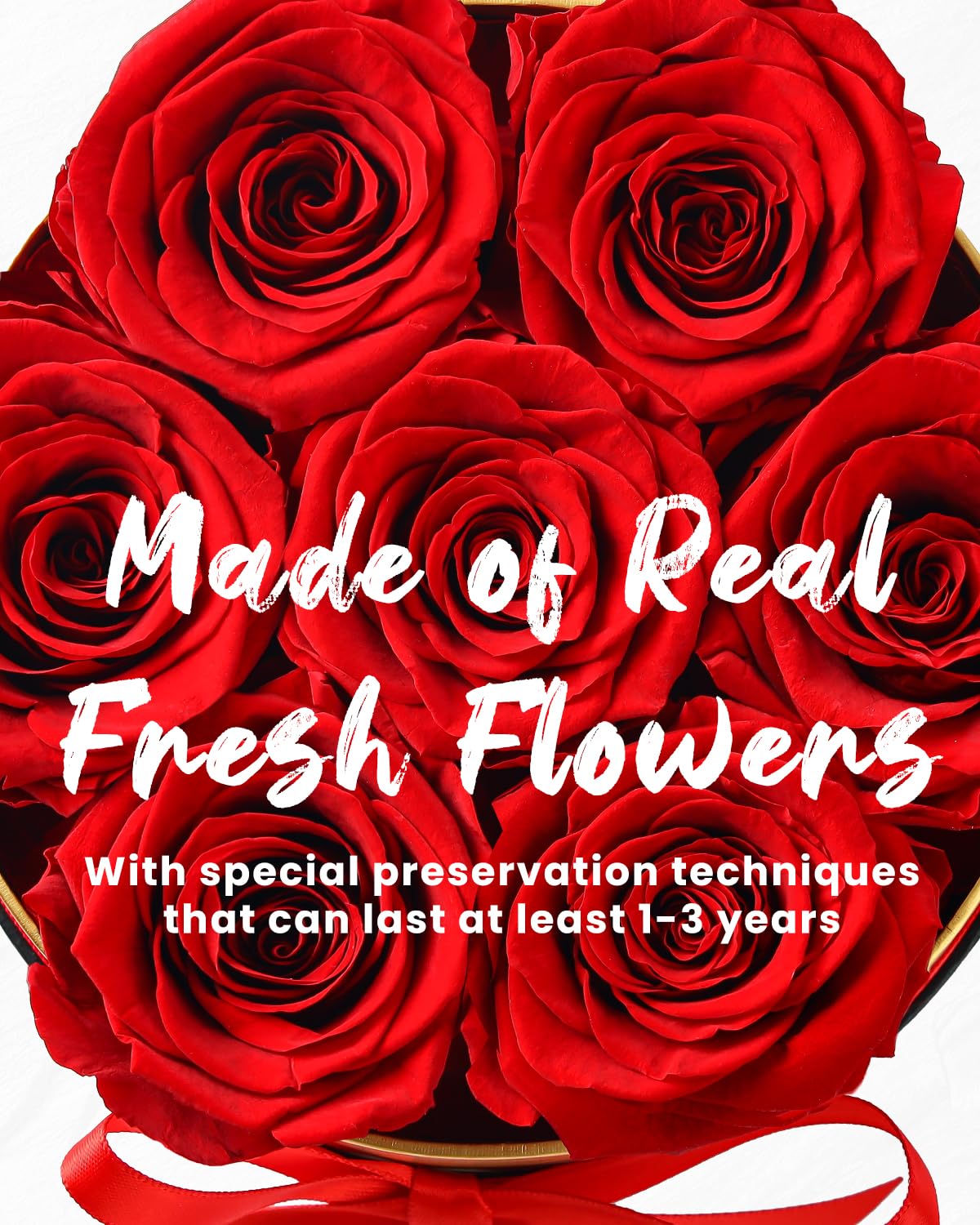 Changshunqi preserved roses close-up highlighting natural color and detail
