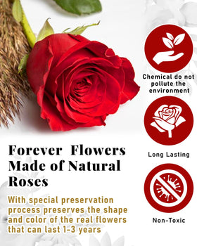 Changshunqi forever roses wrapped in silky ribbon for a luxurious presentation