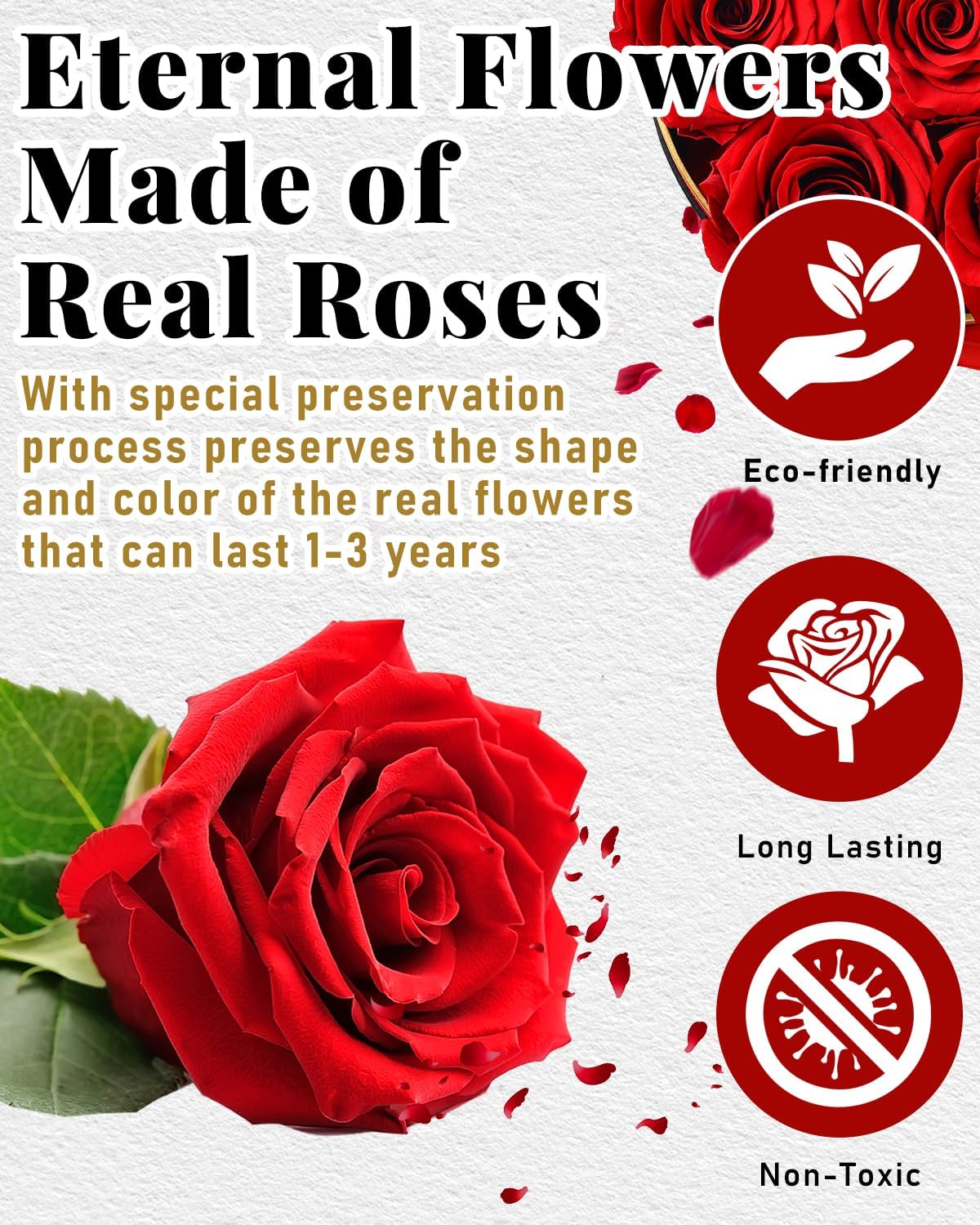 Changshunqi preserved roses close-up shows natural color and longevity.