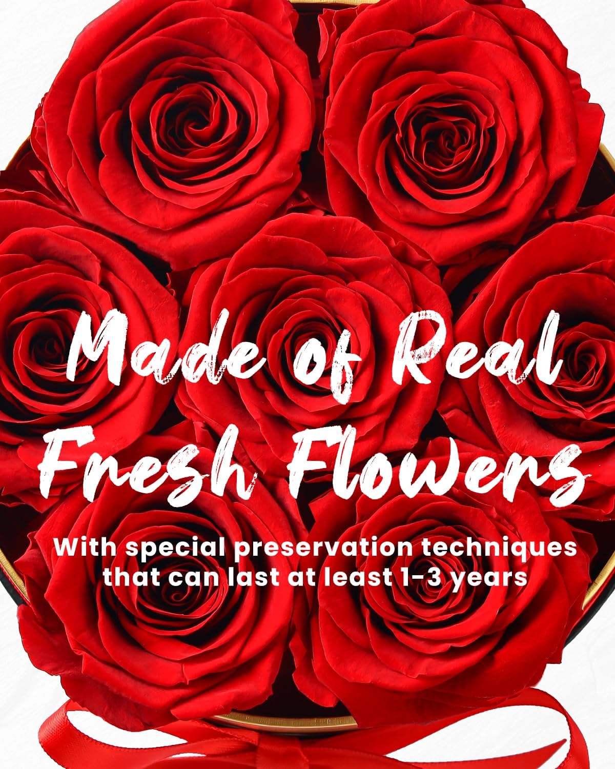 Changshunqi roses displayed on a shelf add timeless décor.