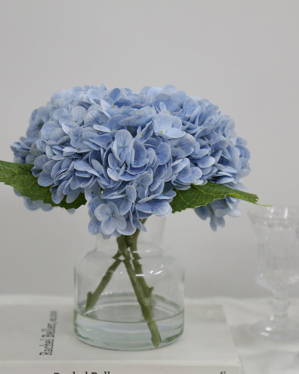 CHASMILE no-water-needed hydrangea adds lush style without upkeep.