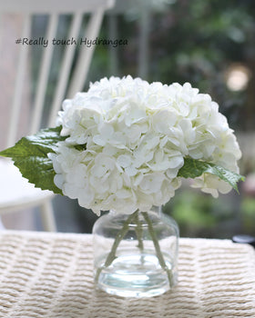 CHASMILE white hydrangea in vase overhead view highlights soft colors and realistic texture