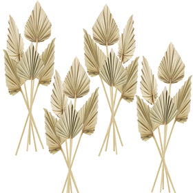 Chenkaiyang boho dried palm spears collection for rustic decor
