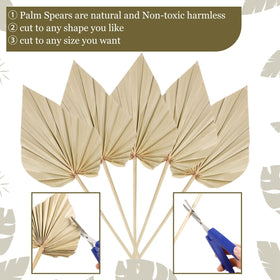 Chenkaiyang palm spears for wedding backdrop or venue decor