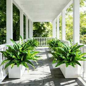 Cherica 3D real-touch fern leaves up close for convincing outdoor greenery