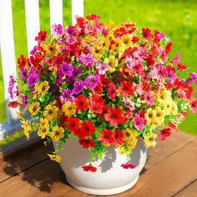 Cherica 40-pcs planter setup delivers color with minimal upkeep