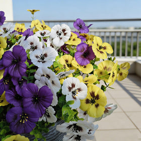 Cherica 40-stem pansy set offers full, natural-looking floral coverage