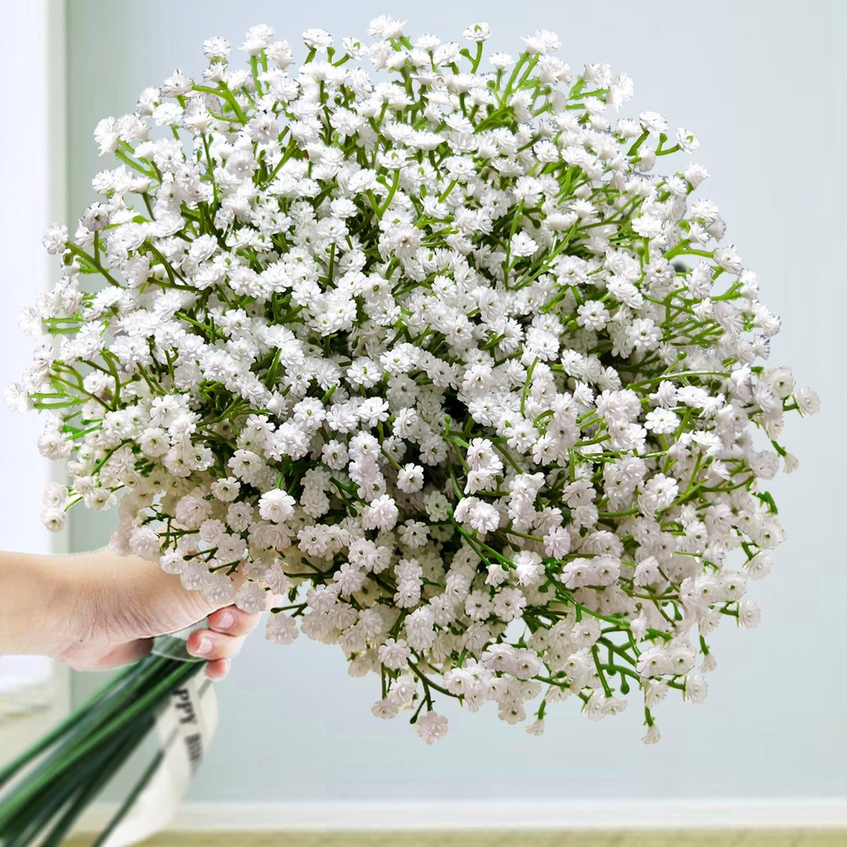 Cherica Baby's Breath 36-stem bouquet for lush display