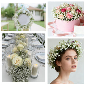 Cherica Baby’s Breath suitable for indoor and outdoor use year-round.