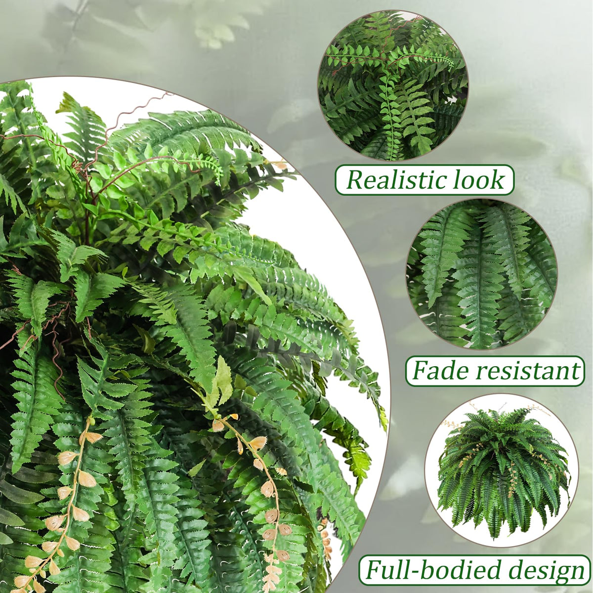Cherica Boston fern 48in closeup veins showing realistic texture and color variation.