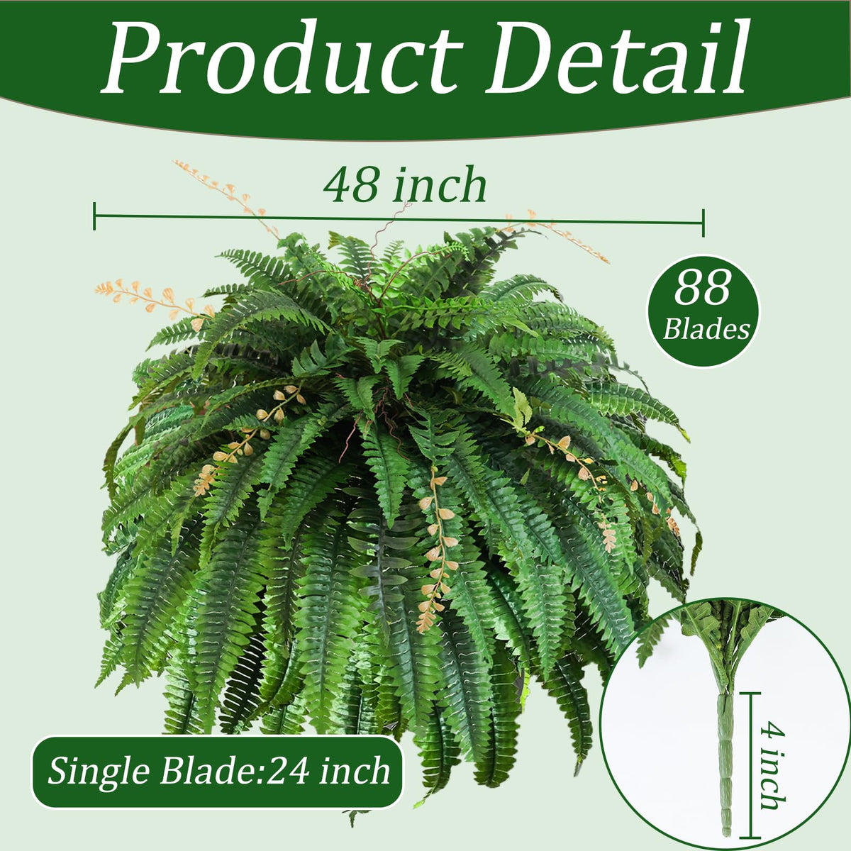 Cherica Boston fern 48in front view with lush 88-frond spread enhances entryways.