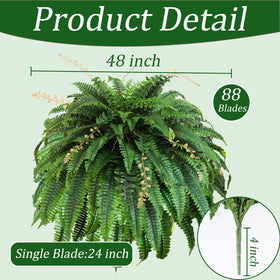 Cherica Boston fern 48in front view with lush 88-frond spread enhances entryways.