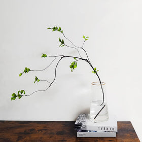 Cherica centerpieces with faux greenery ficus branches for ambience.