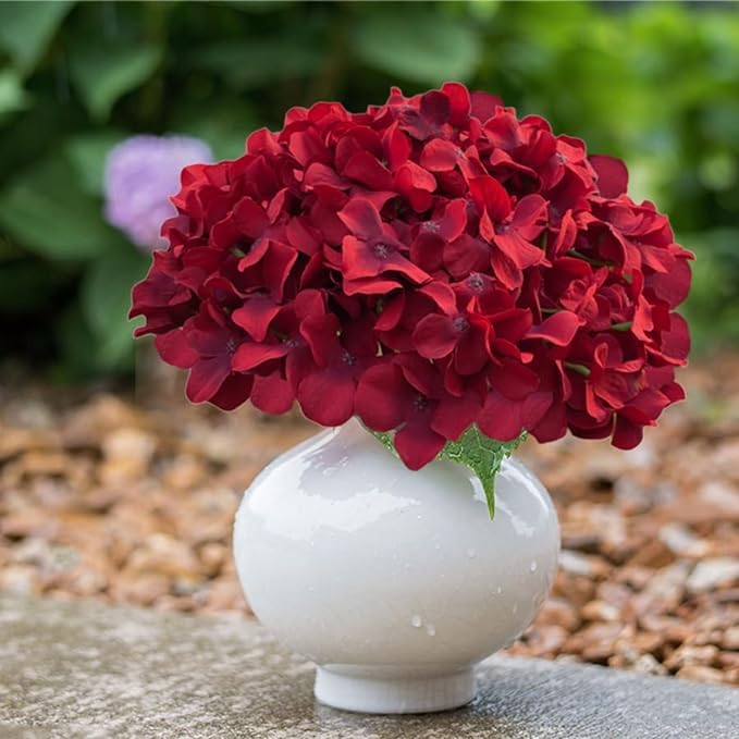 Cherica dark red hydrangea hand-dyed lifelike blooms stay vibrant.