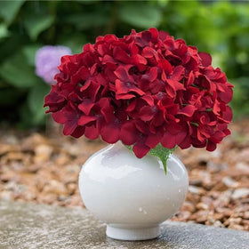 Cherica dark red hydrangea hand-dyed lifelike blooms stay vibrant.