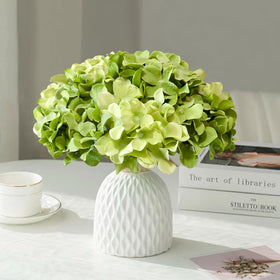 Cherica hydrangea for DIY floral projects and creative decor ideas.