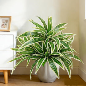 Cherica real-touch fronds create inviting garden vibes.