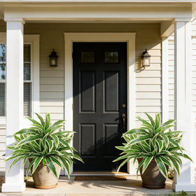Cherica weatherproof faux plants ideal for patio or balcony.